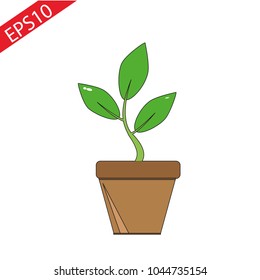 Vector flat house plant pot illustration. Colorful house plant in pot for your design.