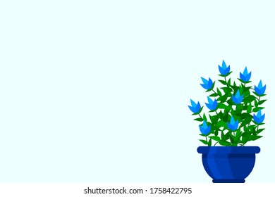 Vector flat house plant pot illustration. Colorful house plant in pot for your design.