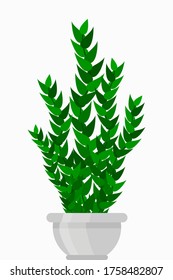 Ilustración de la planta de la cámara plana vectorial. Planta de casa colorida en la olla para su diseño.