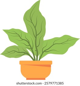 Vector flat house plant pot illustration. Room interior decor. Flat graphic Interior houseplant