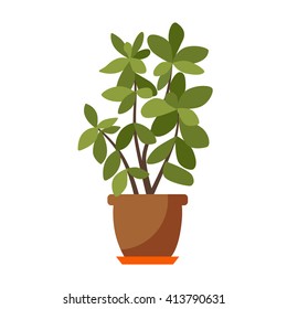  Vector Flat House Plant Pot Illustration. Colorful House Plant In Pot For Your Design.