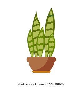  Vector flat house plant pot illustration. 