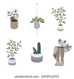Vector flat house plants in pots, original pots for plants. Home indoor green decor. Gardening theme. Flat vector illustrations isolated on white background