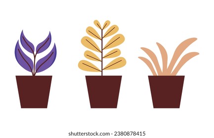 Vector flat houseplant collection on white.