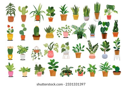 vector flat houseplant in pot collection