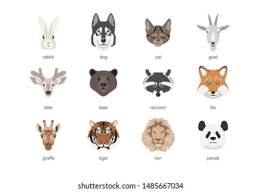 vector flat icon with cartoon isolated heads of domestic and wild animals with names