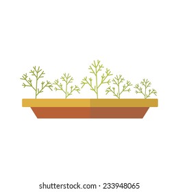 vector flat icon fennel in a pot