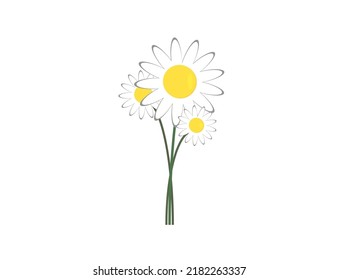Vector flat icon flower (chamomile). Nature, forest, grass