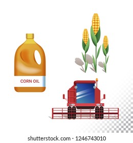 Vector flat icon illustration of corn are, harvested and corn oil. Colorful objects on a transparent background.