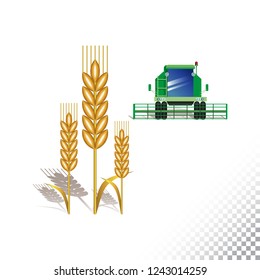 Vector flat icon illustration of wheat spikelet and harvester. Colorful objects on a transparent background.