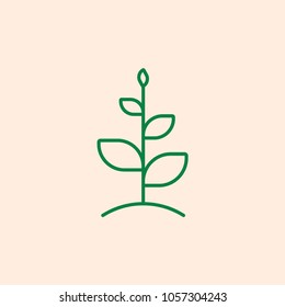 Vector flat icon Sprout, plant, nature