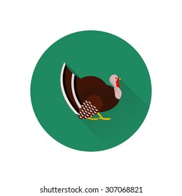 Vector flat icon of turkey with long shadow. Element for design.