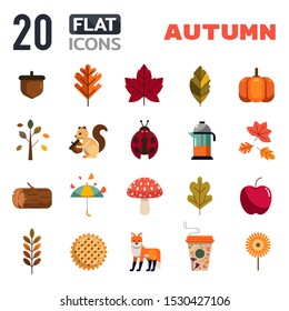 Vector flat icons concept autumn. Symbols set nature on white background.