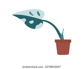 Vector flat illustration about greenery includes ceramic pot with tropical plant. Isolated object with new leaf on Monstera Albo. Hobby to grow and care about garden at home and make urban jungle. 