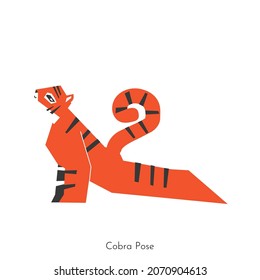 Vector flat illustration with animal character. Siberian tiger learns relaxing posture and does Cobra Pose at yoga class. Basic exercise for beginners. Symbol of flexible and athletic person