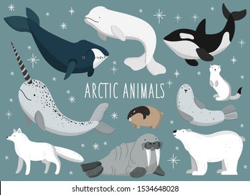 Vector flat illustration of arctic animals. Vector set with arctic animals. Polar bear, whale, seal, killer whale, Lemming, ermine, Arctic fox. Cute animals.