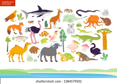 Vector flat illustration of Australia animals, seaside, plants: parrot, camel, kangaroo, crocodile, ostrich, koala, turtle, palm tree, cactus etc. For infographics, children book, alphabet, banner.