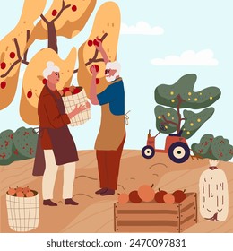 Ilustración plana de Vector de la cosecha de otoño, personajes humanos, pareja de ancianos recogiendo frutas y verduras orgánicas en un huerto.