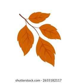 Vector flat illustration autumn leaf on white background