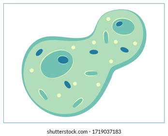 Vector flat illustration with a bacteria, virus, cells, germs or epidemic bacillus. Stylized drawing for your web site design, logo, app, UI. Isolated stock illustration on white background.