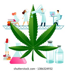 Vector flat illustration, big cannabis leaves on white background, medical research. Scientists and doctors examine the cannabis leaves, look through a microscope and monitor. Cannabis in medicine.