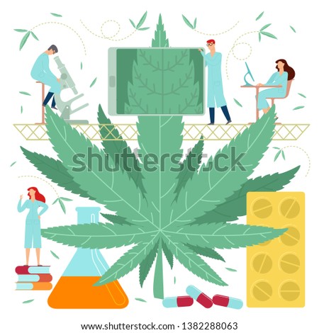 Vector flat illustration, big cannabis leaves on white background, medical research. Scientists and doctors examine the cannabis leaves, look through a microscope and monitor. Cannabis in medicine.