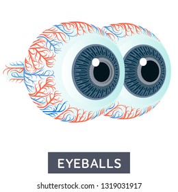 Vector flat illustration, big human eyes on white background, medical research. For medical textbooks, teaching aids, design offices of ophthalmologists and optics stores