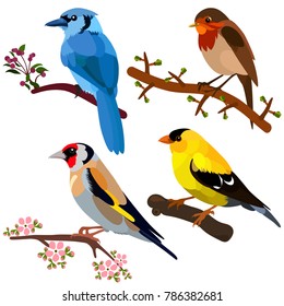 Vector flat illustration of birds sitting on branches. Elements for design. Spring design. Set. Little birds.