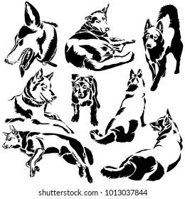 Vector flat illustration of black silhouette dogs on white background. Animals. Year of the dog. Elements for design.