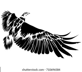 Vector flat illustration of black silhouette flying eagle on white background. Element for design.