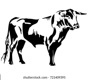 Vector flat illustration of a black silhouette bull on white background. Element for design. 