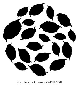 Vector flat illustration of black silhouette leaves of the elm tree. Circle shape. Element for design.