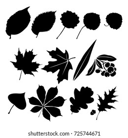 Vector Flat Illustration Black Silhouette Leaves Stock Vector (Royalty ...