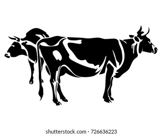Vector flat illustration of black silhouette cows. Element for design.