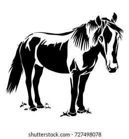 Vector flat illustration of a black silhouette horse.