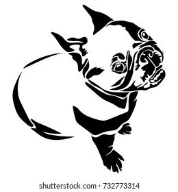 Vector flat illustration of black silhouette bulldog on white background.