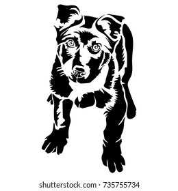 Vector flat illustration of black silhouette puppy on white background.