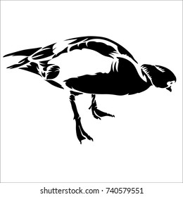 Vector flat illustration of black silhouette duck on white background. Element for design.