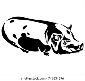Vector flat illustration of black silhouette pig on white background. Element for design.