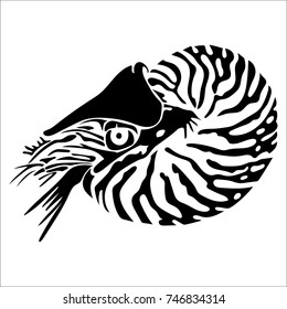 Vector flat illustration of black silhouette shellfish on white background. Element for design.