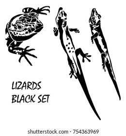 Vector flat illustration of black silhouette lizards on white background.