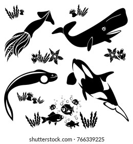 Vector flat illustration of black silhouette sea animals. Whale cachalot orca squid fishes moray. Seaweeds corals starfish. Elements for design.