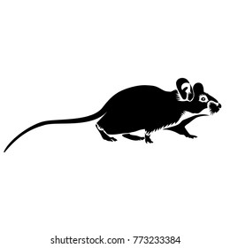 Vector flat illustration of black silhouette mouse on white background. Isolated. Element for design.