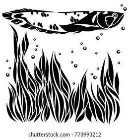 Vector flat illustration of black silhouette fish and seaweeds on white background. Elements for design. Bubbles water.