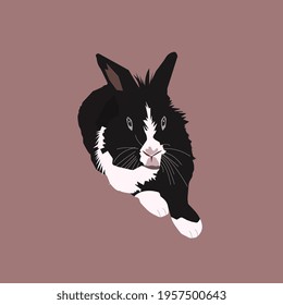 vector flat illustration black and white rabbit