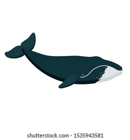 888 Bowhead whale Images, Stock Photos & Vectors | Shutterstock