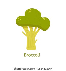 Vector flat illustration of broccoli green and yellow with text