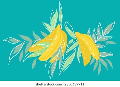Vector flat illustration of a bunch of bananas and foliages on a turquoise background. Card with juicy tropical fruit with leaves for postcards, menus and recipes