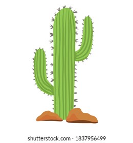 Vector flat illustration of a cactus with stones. Cactus for the background. Green plant with thorns in the desert. Flat style graphics for illustrations, games isolated on white background. Cute