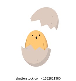 Vector flat illustration of a chicken in an egg on a white background. Hatching chicken. Poultry farm. Simple cute illustration of a chicken.